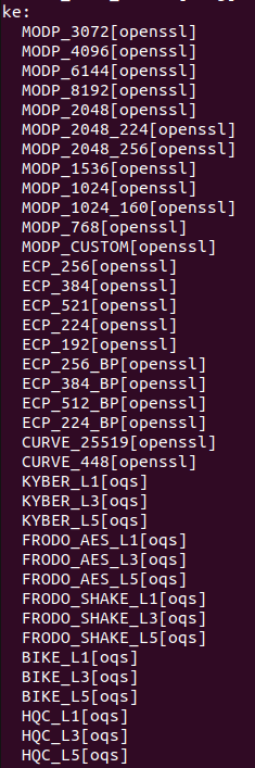 Strongswan build directory
